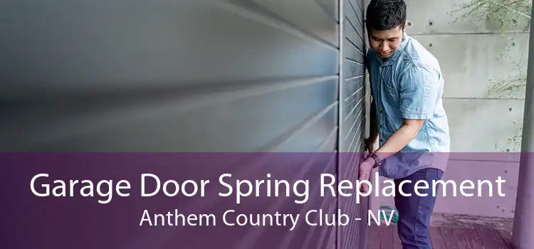Garage Door Spring Replacement Anthem Country Club - NV