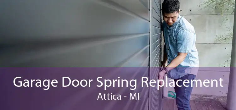 Garage Door Spring Replacement Attica - MI