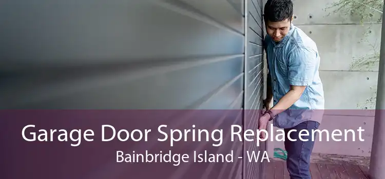 Garage Door Spring Replacement Bainbridge Island - WA