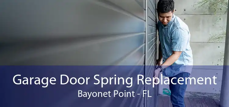 Garage Door Spring Replacement Bayonet Point - FL