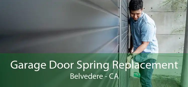 Garage Door Spring Replacement Belvedere - CA