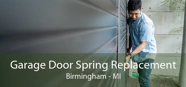 Garage Door Spring Replacement Birmingham - MI