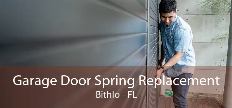 Garage Door Spring Replacement Bithlo - FL