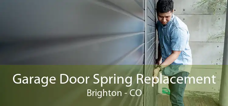 Garage Door Spring Replacement Brighton - CO