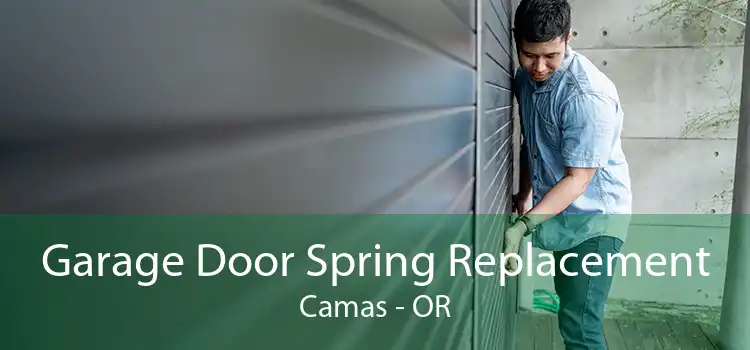  Garage Door Spring Replacement Camas - OR