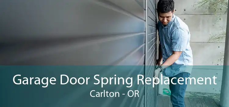 Garage Door Spring Replacement Carlton - OR