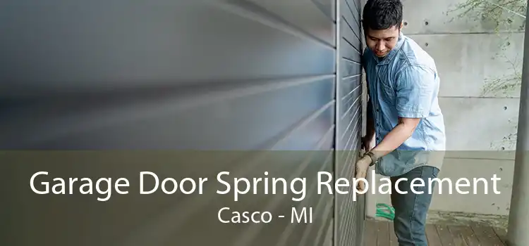 Garage Door Spring Replacement Casco - MI