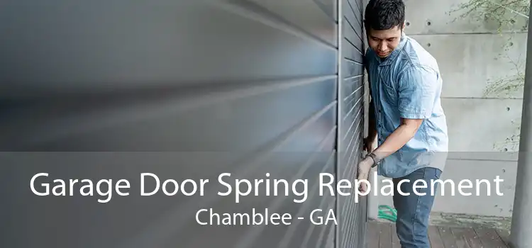 Garage Door Spring Replacement Chamblee - GA
