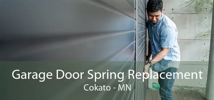 Garage Door Spring Replacement Cokato - MN