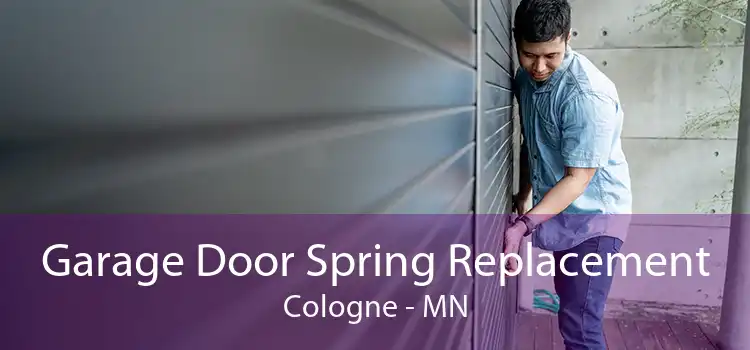 Garage Door Spring Replacement Cologne - MN