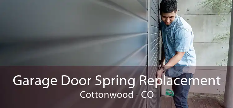 Garage Door Spring Replacement Cottonwood - CO