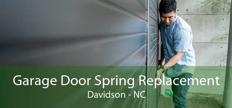 Garage Door Spring Replacement Davidson - NC