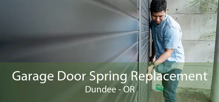 Garage Door Spring Replacement Dundee - OR