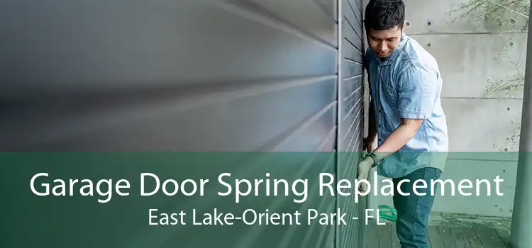 Garage Door Spring Replacement East Lake-Orient Park - FL