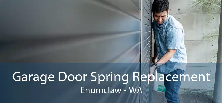 Garage Door Spring Replacement Enumclaw - WA