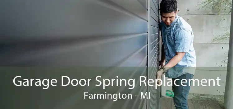 Garage Door Spring Replacement Farmington - MI