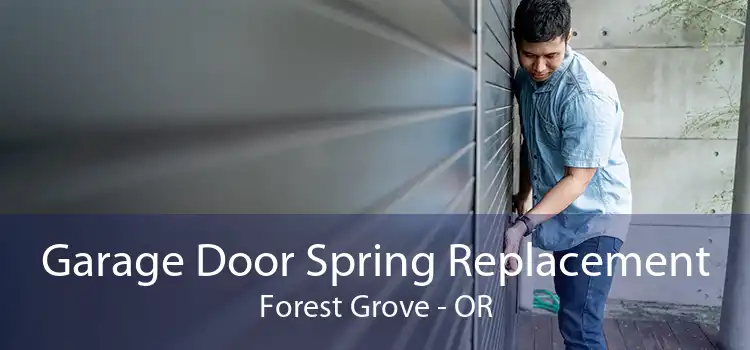 Garage Door Spring Replacement Forest Grove - OR