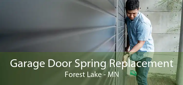Garage Door Spring Replacement Forest Lake - MN