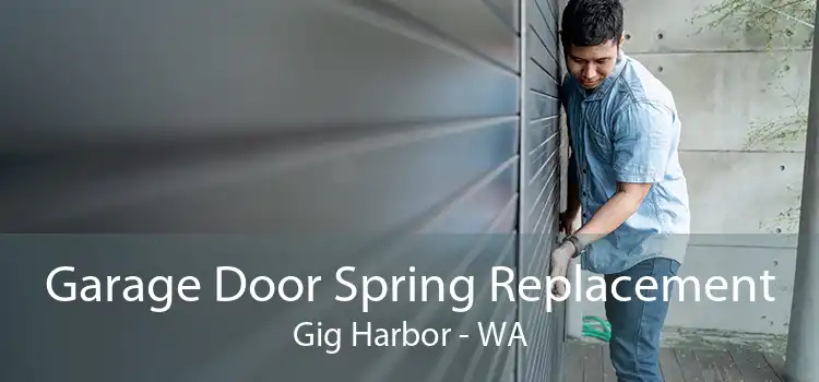 Garage Door Spring Replacement Gig Harbor - WA
