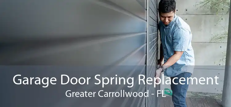 Garage Door Spring Replacement Greater Carrollwood - FL