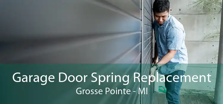 Garage Door Spring Replacement Grosse Pointe - MI
