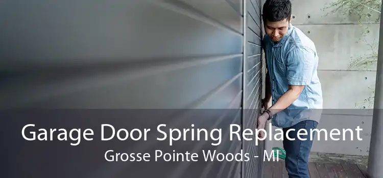 Garage Door Spring Replacement Grosse Pointe Woods - MI