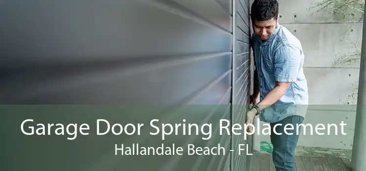 Garage Door Spring Replacement Hallandale Beach - FL