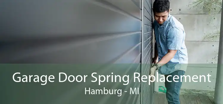 Garage Door Spring Replacement Hamburg - MI