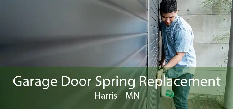 Garage Door Spring Replacement Harris - MN