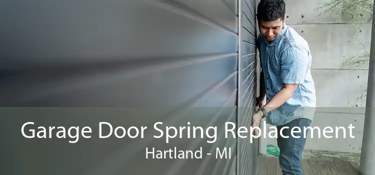 Garage Door Spring Replacement Hartland - MI