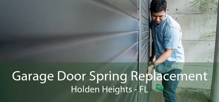Garage Door Spring Replacement Holden Heights - FL