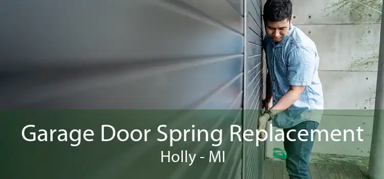 Garage Door Spring Replacement Holly - MI