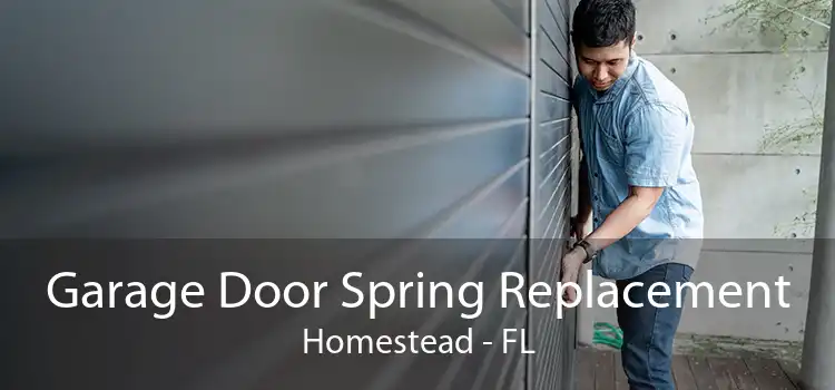 Garage Door Spring Replacement Homestead - FL