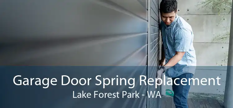 Garage Door Spring Replacement Lake Forest Park - WA