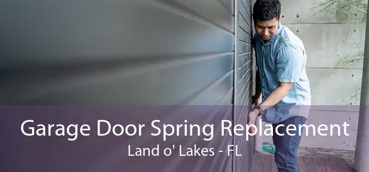Garage Door Spring Replacement Land o' Lakes - FL