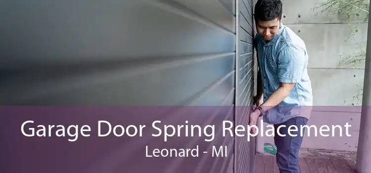 Garage Door Spring Replacement Leonard - MI