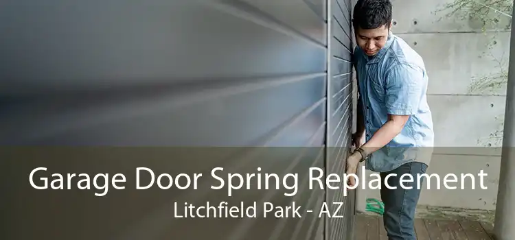 Garage Door Spring Replacement Litchfield Park - AZ