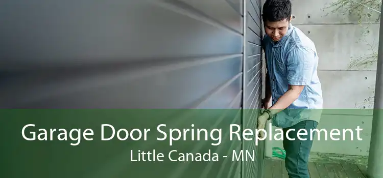 Garage Door Spring Replacement Little Canada - MN