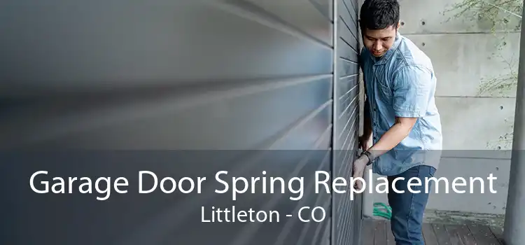 Garage Door Spring Replacement Littleton - CO