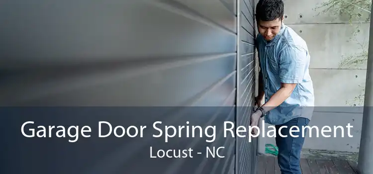 Garage Door Spring Replacement Locust - NC