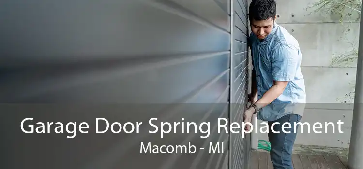 Garage Door Spring Replacement Macomb - MI