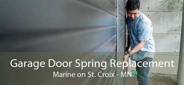 Garage Door Spring Replacement Marine on St. Croix - MN