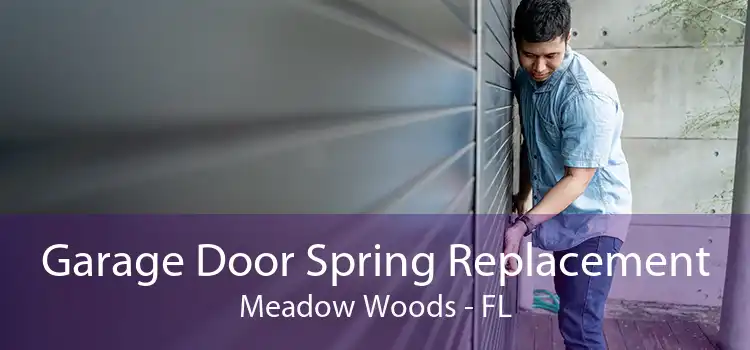 Garage Door Spring Replacement Meadow Woods - FL