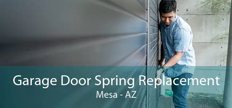 Garage Door Spring Replacement Mesa - AZ