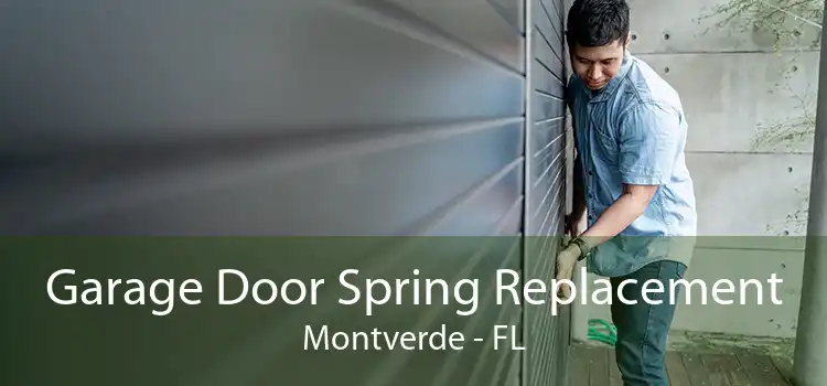 Garage Door Spring Replacement Montverde - FL
