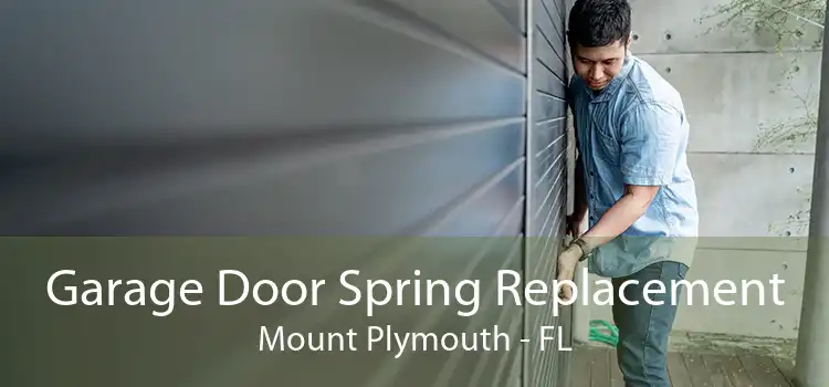 Garage Door Spring Replacement Mount Plymouth - FL
