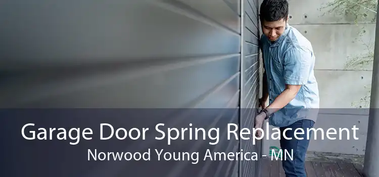 Garage Door Spring Replacement Norwood Young America - MN
