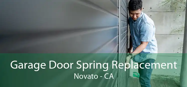 Garage Door Spring Replacement Novato - CA