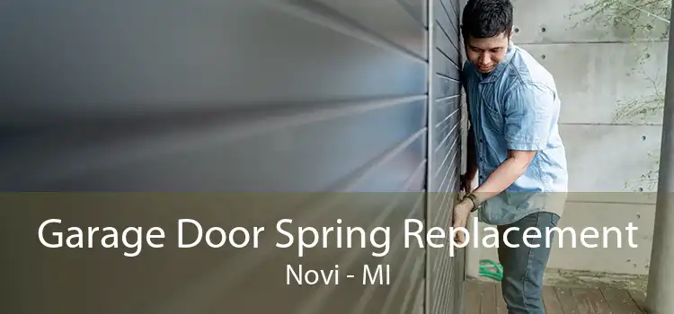 Garage Door Spring Replacement Novi - MI