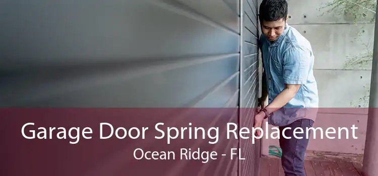 Garage Door Spring Replacement Ocean Ridge - FL